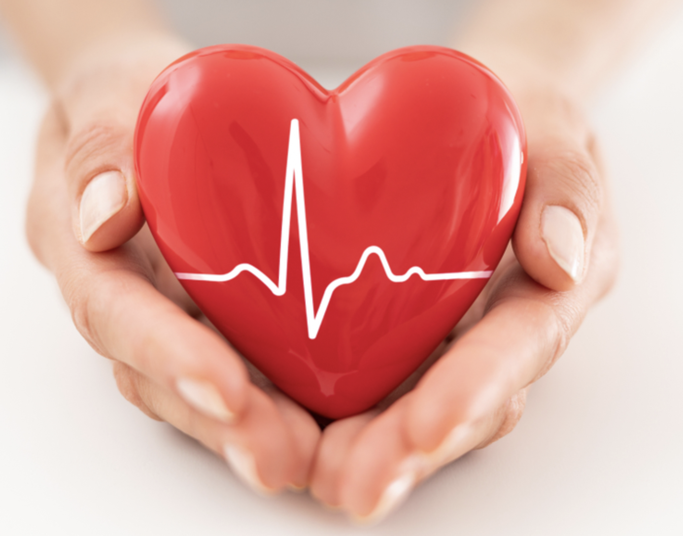 Heart Health Heart Health